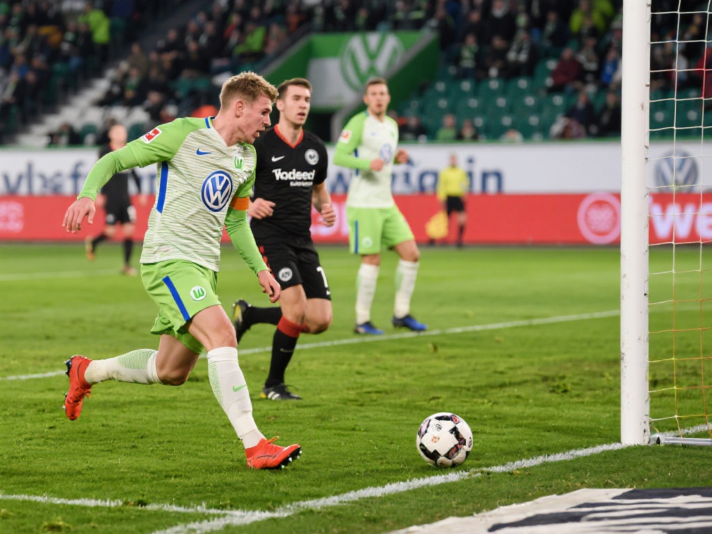 可能性有多 可能性有多